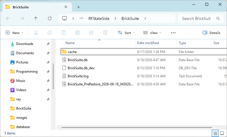 BrickSuite log folder open in Windows File Explorer